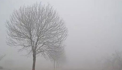 多家企業(yè)氣體排放不達標(biāo)