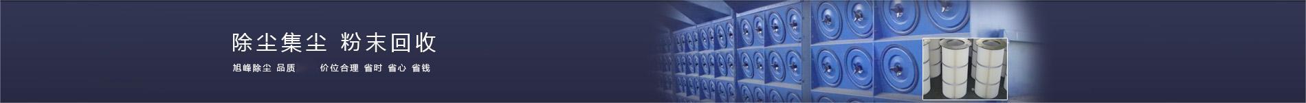 水泥倉(cāng)頂除塵濾芯